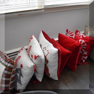 D49. Christmas pillows.